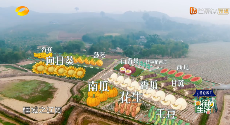复制式的生活_不可复制的生活方式电影_电影复制