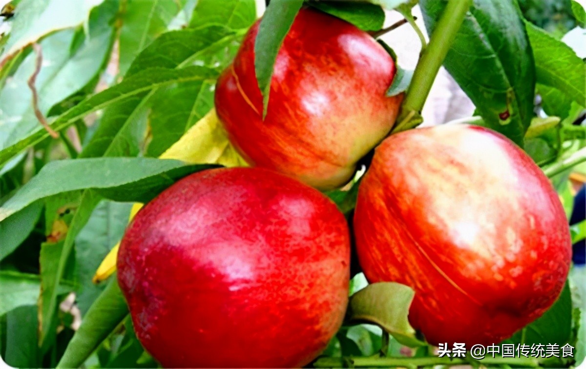 襄阳美食特产有哪些_襄阳特产美食_襄阳特产吃的