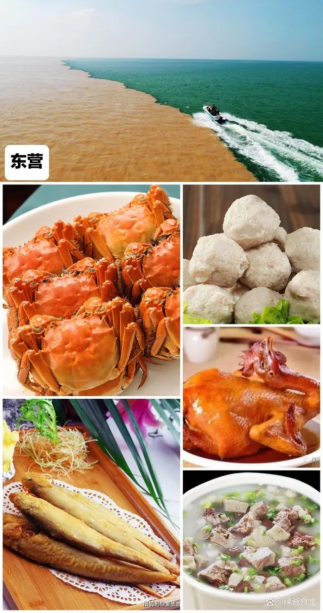 每天美食食谱推荐_每天美食_每天美食怎么做