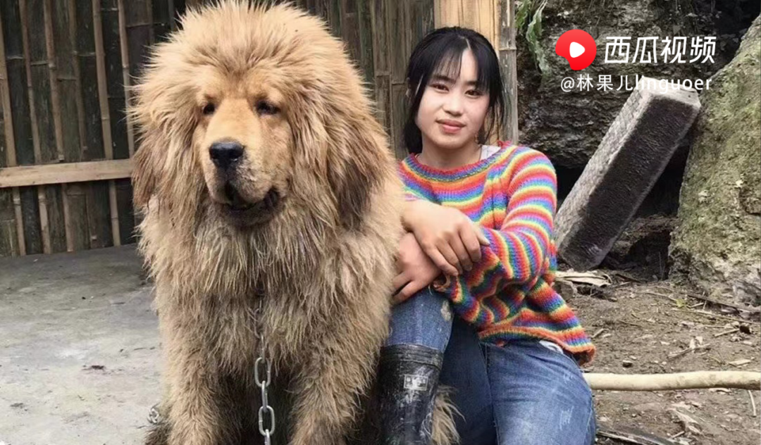 了解生活常识的重要性_生活从常识开始内容_常识的内容