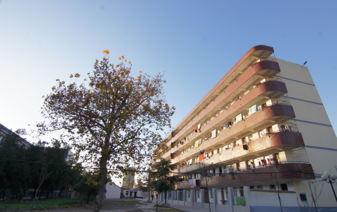 旅游学知识_旅游学基本常识_旅游学基础知识